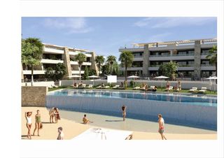 Pis a Monforte del Cid