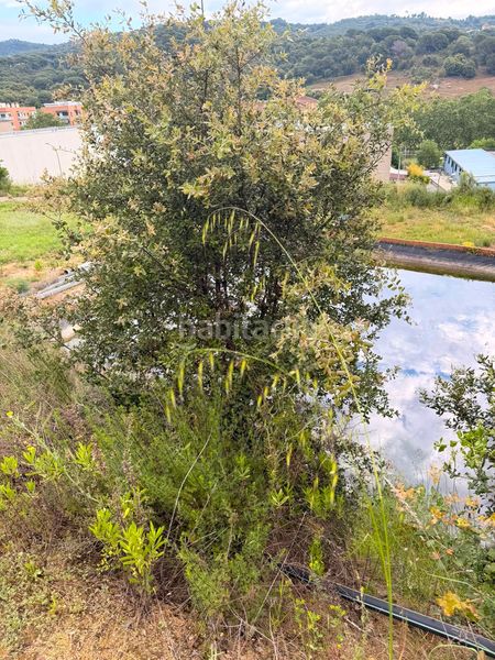Foto 4a71efb5-f3da-4c8d-8892-b101c6a2e670. Casa amb calefacció aparcament piscina a Arenys de Munt