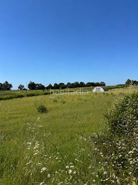 Foto f7b64794-c8ba-4efb-8f45-1d68412c8c08. Rural plot in n/a in Rociana del Condado