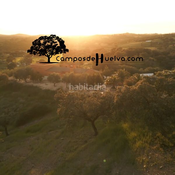 Foto 990c62cf-1bb5-44c0-a0dc-1b95e2a53e91. Finca rústica a carretera calañas 10 a Zalamea la Real