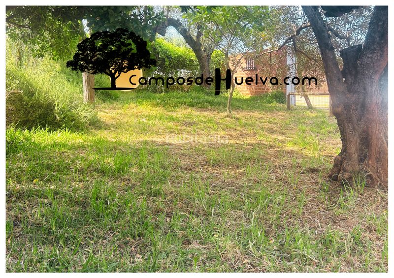 Foto 63b8f5be-a519-4139-a858-5d5048323352. Finca rústica a calle lope de vega 43 a Almonte Almonte