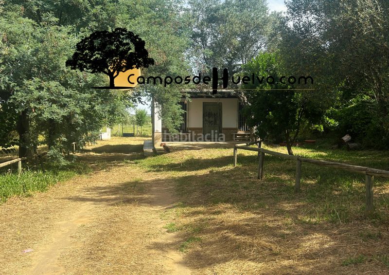 Foto e5fabd46-6f09-47b6-a624-c449025086fc. Finca rústica a calle lope de vega 43 a Almonte Almonte