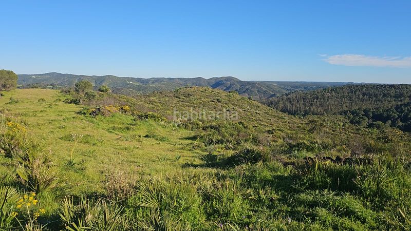 Foto 058f63c5-b560-4b8d-8267-5819aec07766. Finca rústica a Calañas