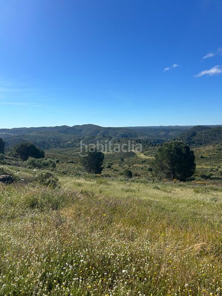 Foto 0cfd8b78-21fb-4e59-9302-6f71463cc7ab. Finca rústica a Calañas