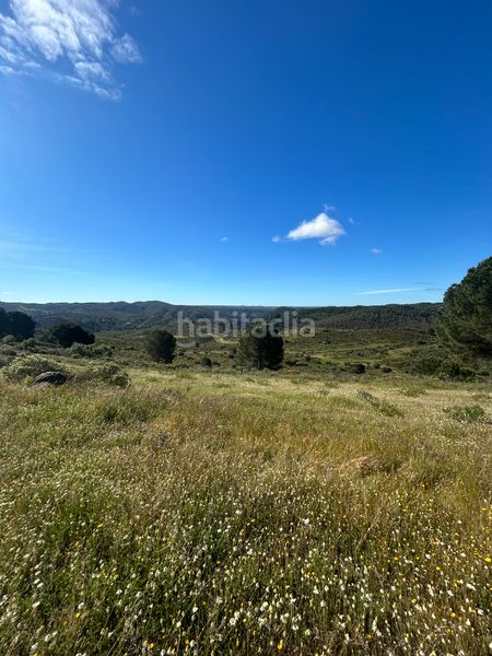 Foto 1c5dd837-7880-4d47-bf2d-f9f830ec0846. Finca rústica a Calañas