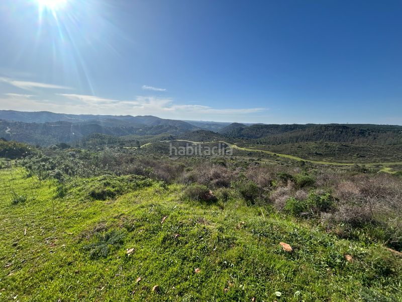 Foto 290e62f4-d37e-480b-a96f-20ef7640ca5a. Finca rústica a Calañas