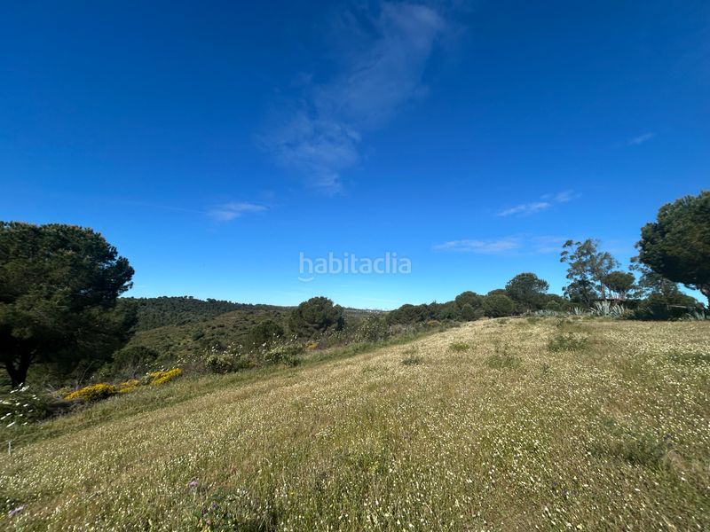 Foto 8936a8a5-951d-42f2-805e-0b1d544e573a. Finca rústica a Calañas