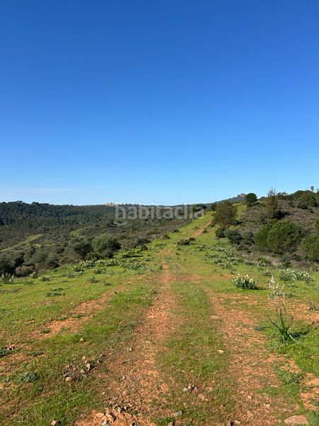 Foto 9c760f37-9a14-45d0-9d35-fe9a824167af. Finca rústica a Calañas