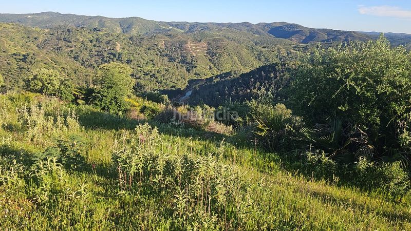 Foto 9d9ef6b1-2461-44e2-9457-b520441b198d. Finca rústica a Calañas