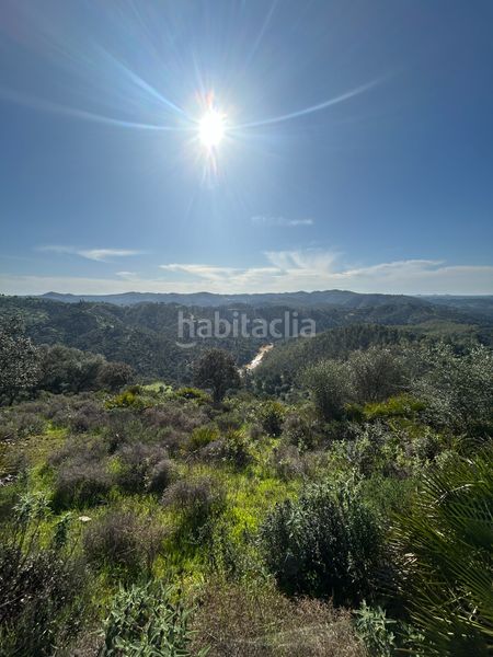 Foto dd7457d6-3091-45ef-a15d-0c66c8979a29. Finca rústica a Calañas