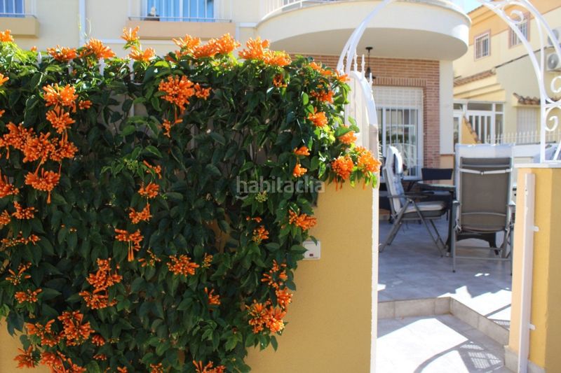 Foto cd0a90ad-fb20-4efb-a5fd-161703d04a59. Casa adossada amb piscina a Los Almendros Orihuela