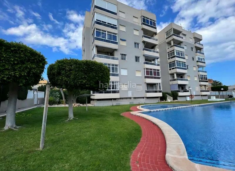 Foto 2899cf36-2a77-478e-ba88-2b2cb1677ea2. Apartament amb piscina a Aguas Nuevas Torrevieja
