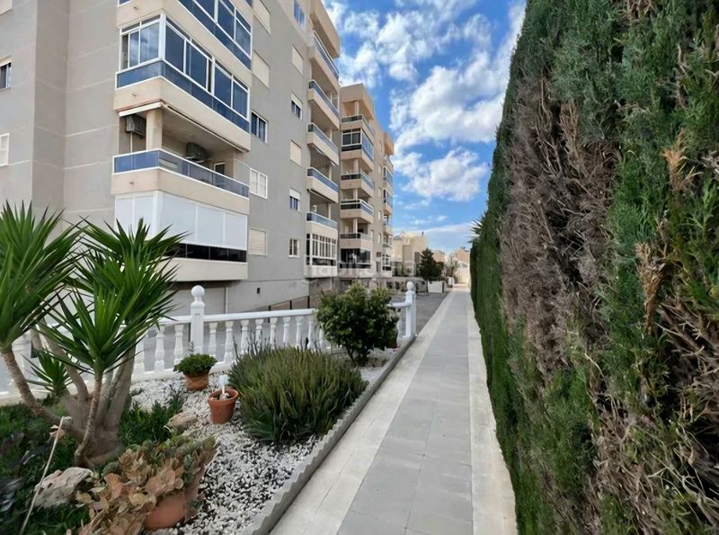 Foto 9ddf93e1-851b-423b-b636-22af7fefb0af. Apartament amb piscina a Aguas Nuevas Torrevieja