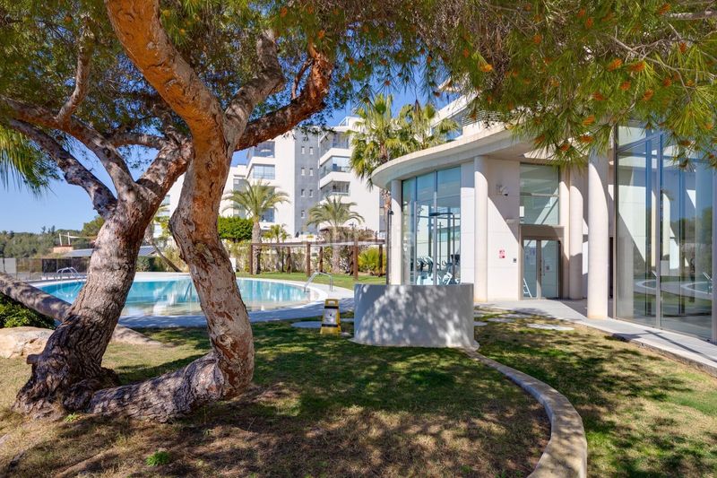 Foto 788db62e-a3a7-4778-9fe5-b37b47fab1a8. Apartament amb piscina a Villamartín-Las Filipinas Orihuela