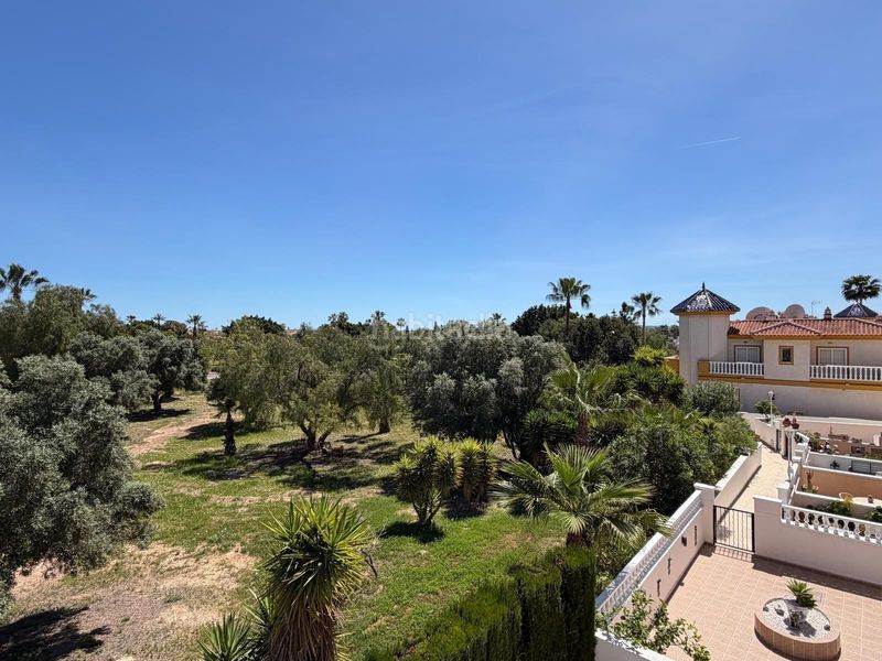 Foto c99db21d-a633-4e03-8f25-05a4c8f1777e. Casa amb piscina a Rojales