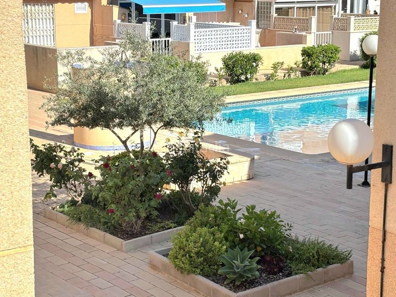 Foto d856da29-7a5b-4e1e-824e-451ea868278d. Casa adossada amb piscina a Zona los Frutales Torrevieja