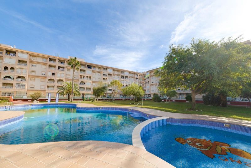 Foto da0806c7-5a34-4b16-ac40-05f78dae5977. Àtic amb piscina a Parque de las Naciones Torrevieja