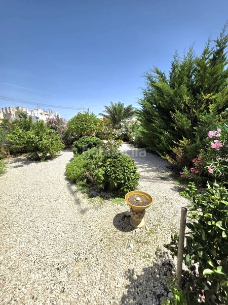 Foto b1083c94-73c4-42ce-95c2-b890bda38260. Casa amb piscina a Zona Carrefour - Urbanizaciones Torrevieja