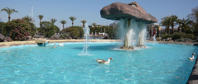 Foto b7007b79-e3a4-4e87-b00a-41bc6f46f326. Apartament a Parque de las Naciones Torrevieja