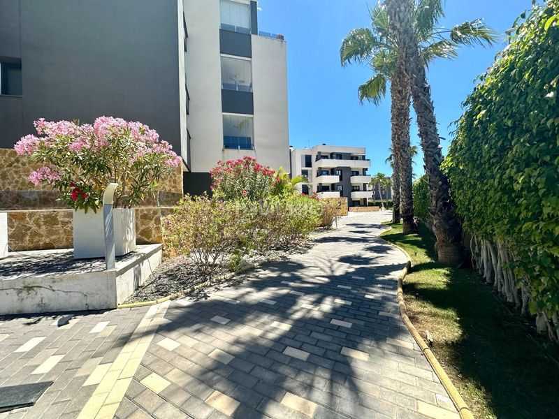 Foto 035046d1-b9ec-4b80-8629-7b1f381840d4. Apartament amb piscina a La Florida Orihuela