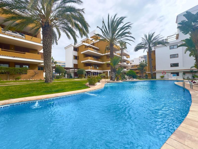 Foto 2baa8b32-8596-4772-b2f6-617377048ded. Apartament amb calefacció piscina a Punta Prima Torrevieja