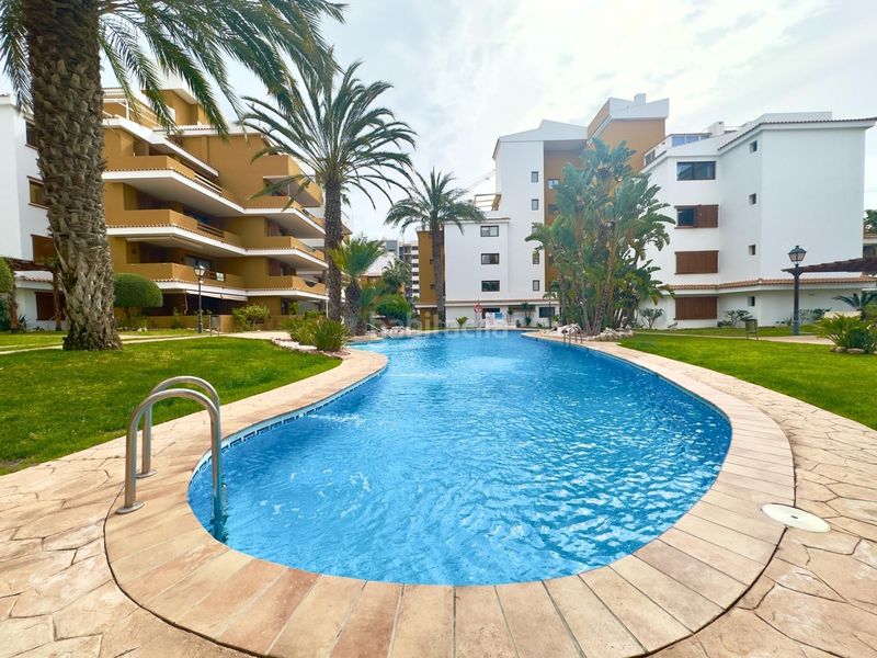 Foto 2df433c8-13f6-4be6-adfc-b72b7a5ddb66. Apartament amb calefacció piscina a Punta Prima Torrevieja