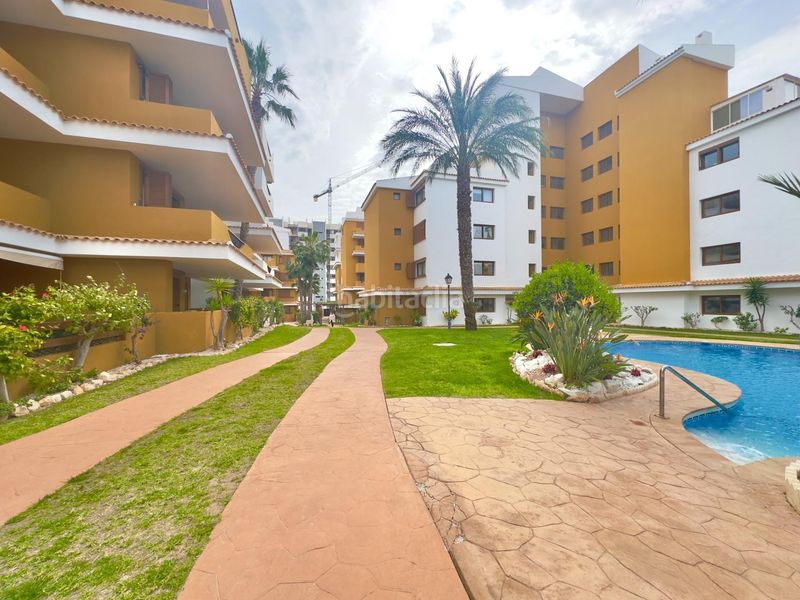 Foto 76528cdf-948e-4621-8f94-0e8aaec5ef84. Apartament amb calefacció piscina a Punta Prima Torrevieja