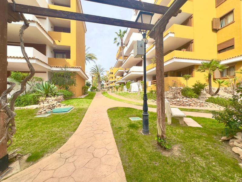 Foto aa1e96df-49f6-475a-b2af-1ea40aa9ce85. Apartament amb calefacció piscina a Punta Prima Torrevieja