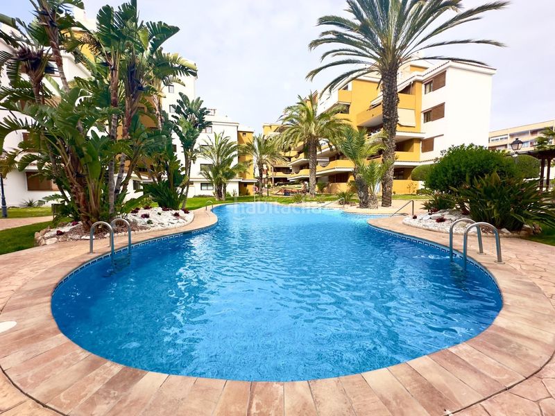 Foto 7e1d43d4-2c59-4c6d-a9a2-d56497bce5bc. Apartamento en Punta Prima Torrevieja