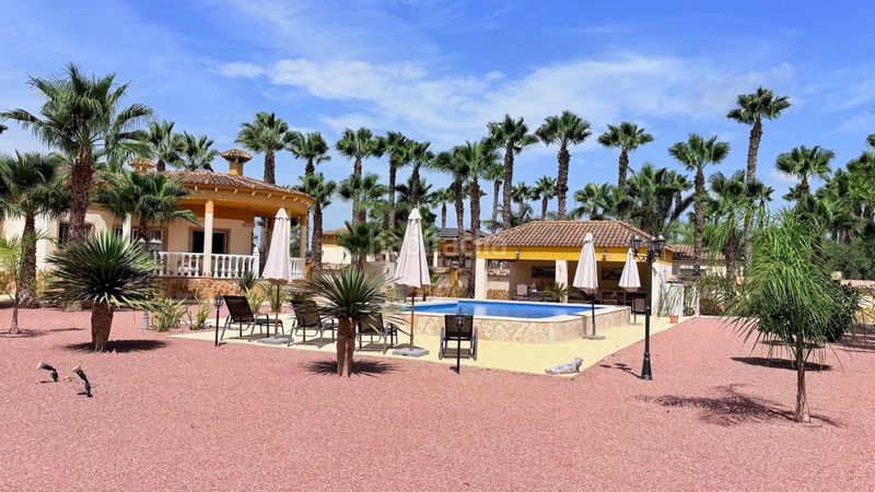 Foto 69e7a7aa-29dd-478c-8f30-9b82b7bb0d42. Casa en Catral
