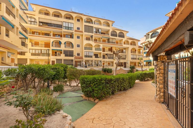 Foto a096feb8-ddff-4e4a-afd1-13ad450df42d. Apartament amb piscina a Los Europeos Torrevieja