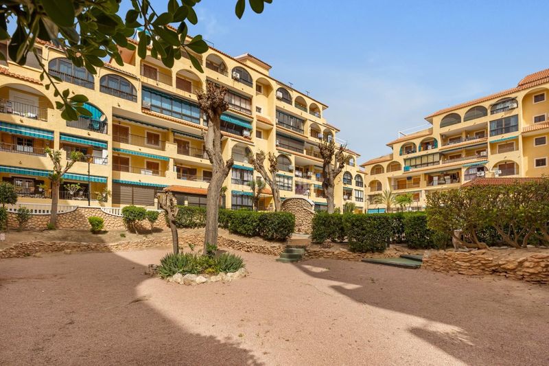 Foto e19f3d87-3aa0-40e1-a4cf-2b67786a40ca. Apartament amb piscina a Los Europeos Torrevieja
