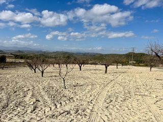 Terreno residencial en Bullas