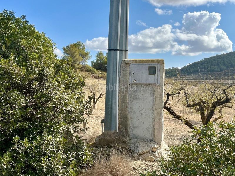 Foto e9ce3005-36b0-4ebc-a603-eaea78465558. Terreny residencial a Bullas