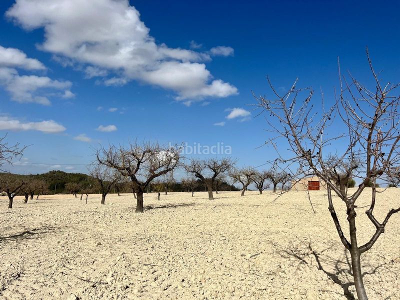 Foto ed1e5921-0c60-4db9-b38e-1ff258e3bfb8. Terreny residencial a Bullas
