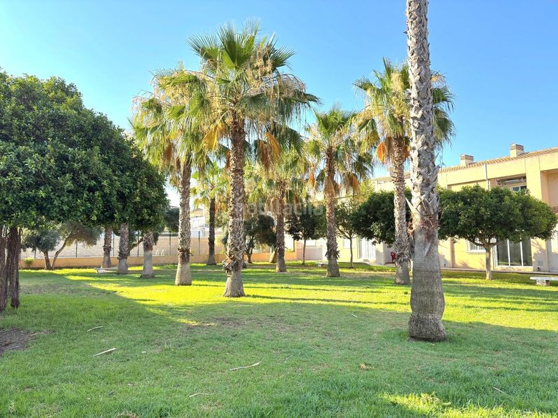 Foto ae463ae1-96a1-4c1d-82d2-4fa214e9281e. Casa adossada amb piscina a Aguas Nuevas Torrevieja
