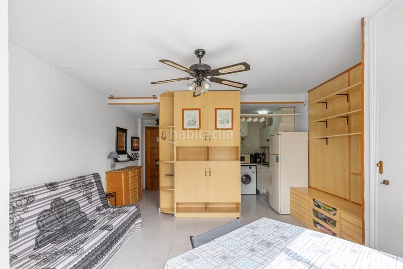 Foto e6b85a19-9990-4298-86fb-02c8a8b3538d. Estudio en Torreblanca Torrevieja