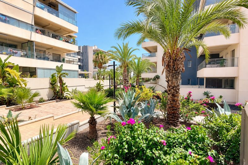 Foto bb0fd728-b0ea-4d88-97ac-671d6519fc40. Apartment with pool in Villamartín-Las Filipinas Orihuela