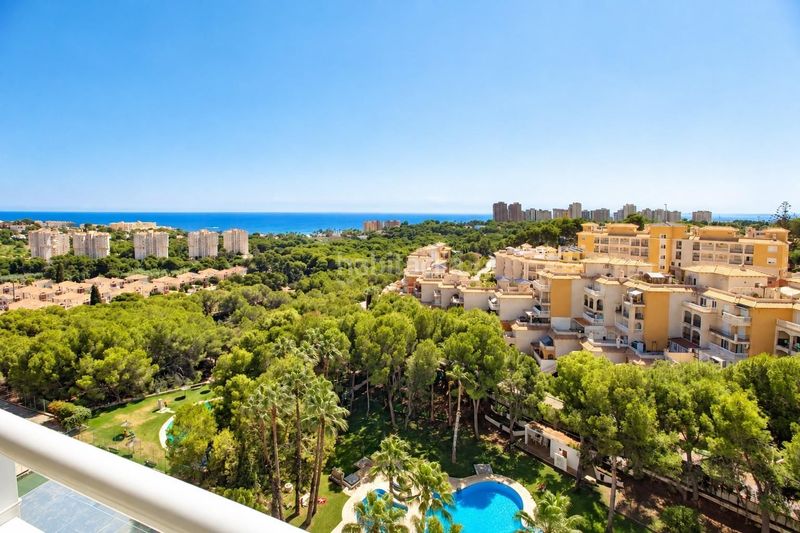 Foto 191f2aba-58cf-45de-b29d-29d06314065b. Apartamento en Campoamor Orihuela
