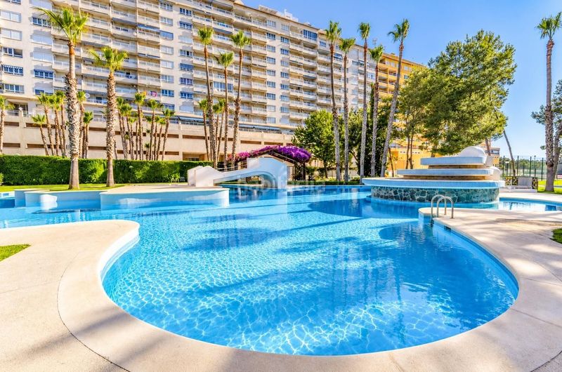 Foto f2198159-e122-442f-8b3a-c531cc42d5a1. Apartamento en Campoamor Orihuela