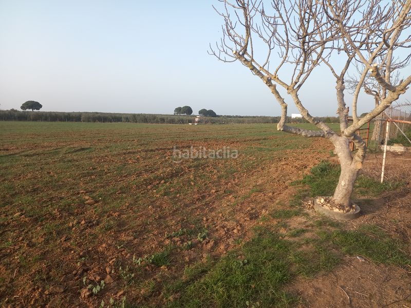 Foto 3b245816-d1a5-4123-b8eb-8cee75407dee. Finca rústica a n/a a Pedanías Norte Utrera