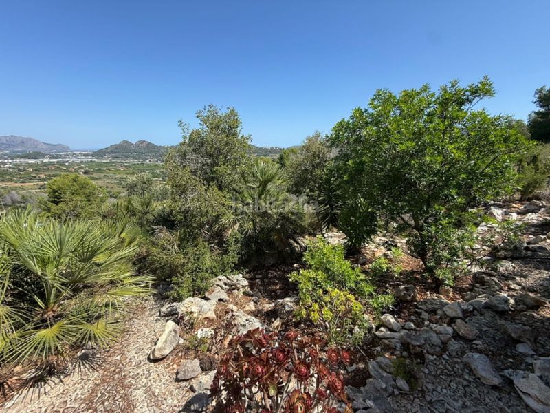 Foto 053dbca2-0cbd-4099-8027-45488475bb53. Chalet en monte Pedreguer Pedreguer