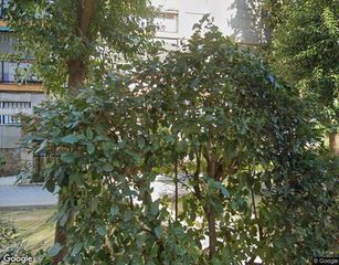 Flat in CL ALCALA DE GUADAIRA, nº 18, Planta 0, Puerta DR