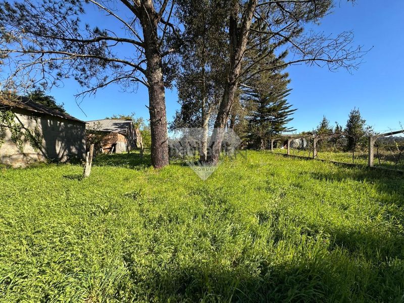 Foto c0f996e6-388a-47c0-b333-2c9e6cbbd428. Country house in Vilanova de Arousa