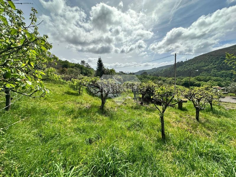 Foto 15d222eb-aa81-43f3-b56b-8b4fd2e7c897. Chalet en Lama (A)