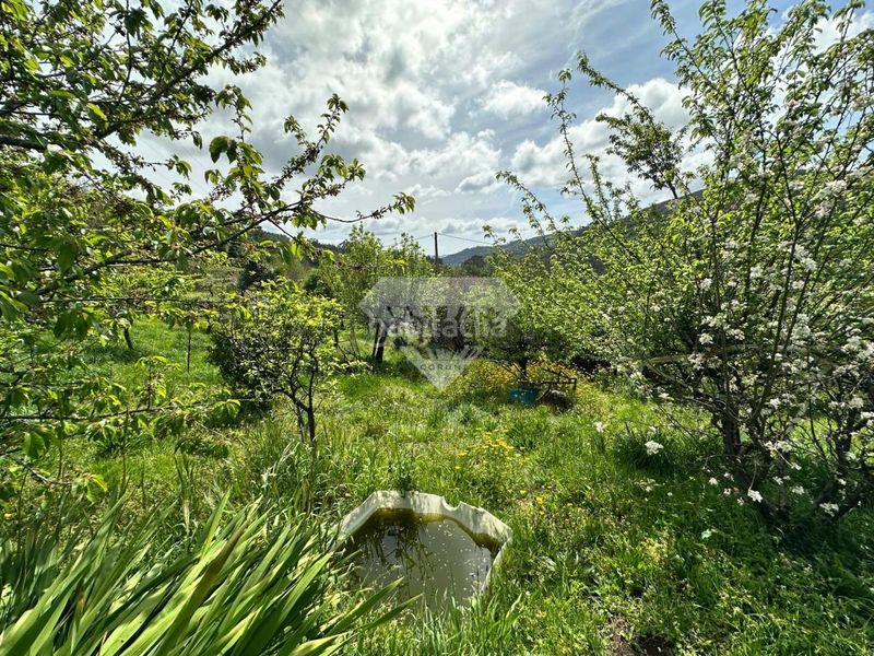 Foto 25c2c83d-1892-4753-ac4d-1086b4c6a93e. Chalet en Lama (A)