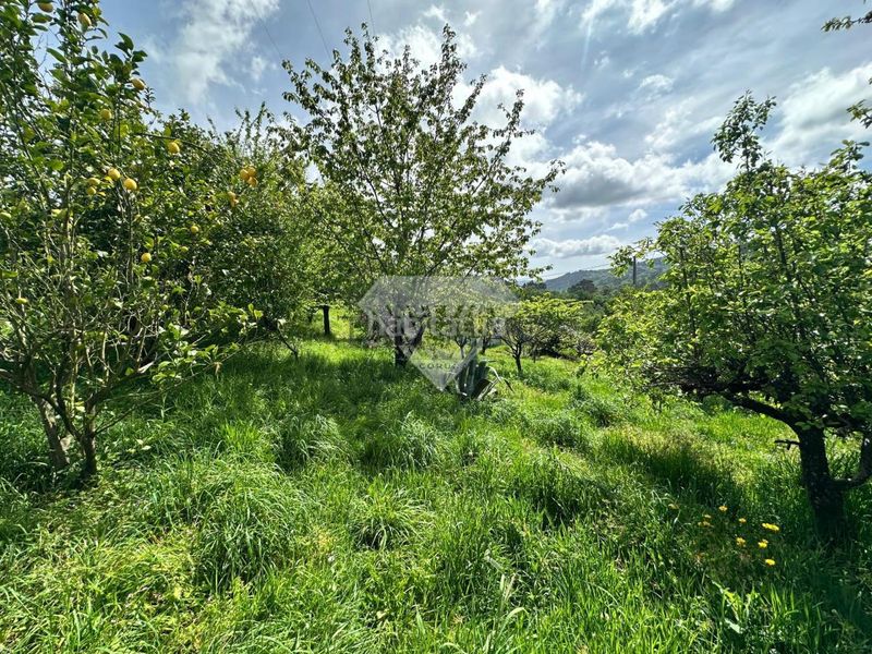 Foto 1d9ffdd3-91c5-4325-9c3a-02953f0f20c9. Xalet amb calefacció aparcament piscina a Lama (A)