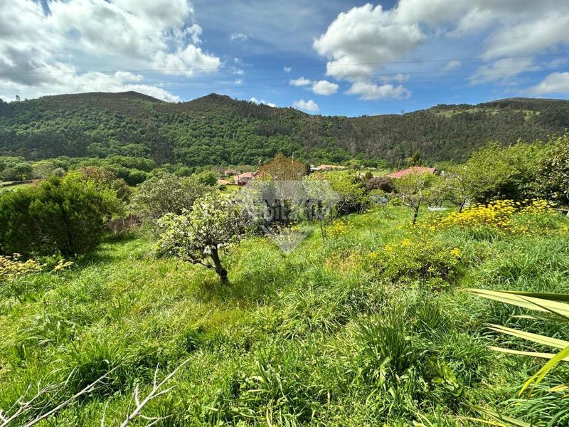 Foto 6695e722-25dd-492a-b047-54d6030b60cb. Xalet amb calefacció aparcament piscina a Lama (A)