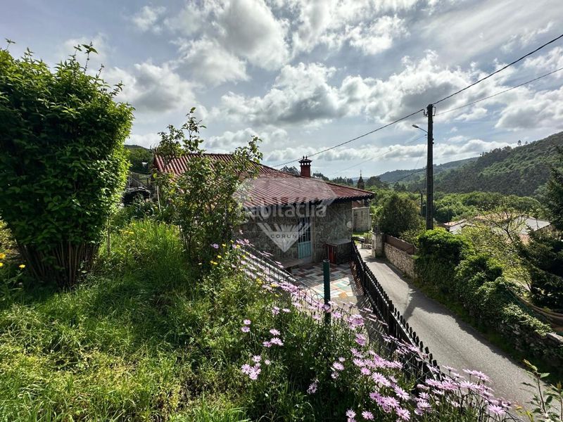 Foto ef450a23-45e6-46d1-8228-cc1123007fa2. Xalet amb calefacció aparcament piscina a Lama (A)