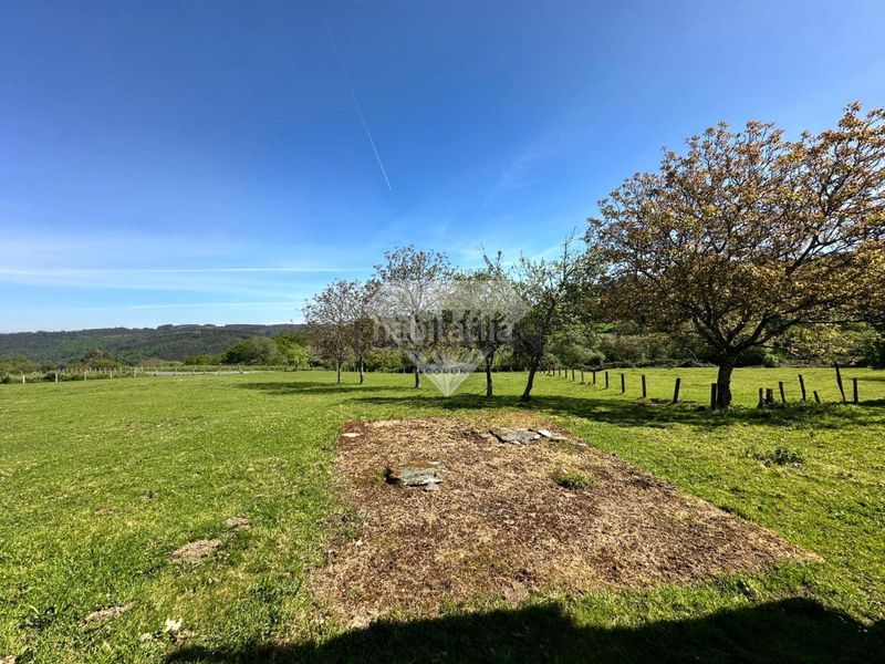 Foto 8503f0c4-bc0f-43d3-90a8-17e892e195a5. Casa en Estrada (A)